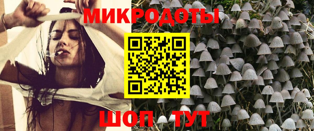 Ростов-на-Дону  купить наркоту  Псилоцибиновые грибы GOLDEN TEACHER  Вход с VPN  Галлюциногенные грибы GOLDEN TEACHER 